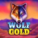 Wolf Gold game artwork